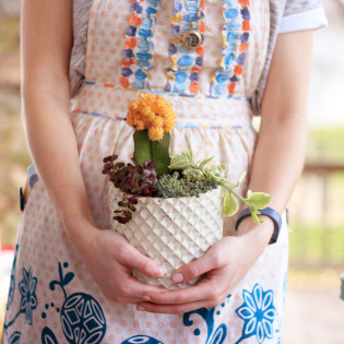 Earth Day Inspiration – Potted Spring Succulents Earth Day Inspiration – Potted Spring Succulents