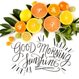 Each day is a fresh start Each day is a fresh start