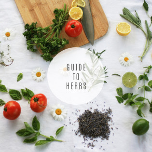 In the Kitchen: A Guide to Herbs In the Kitchen: A Guide to Herbs