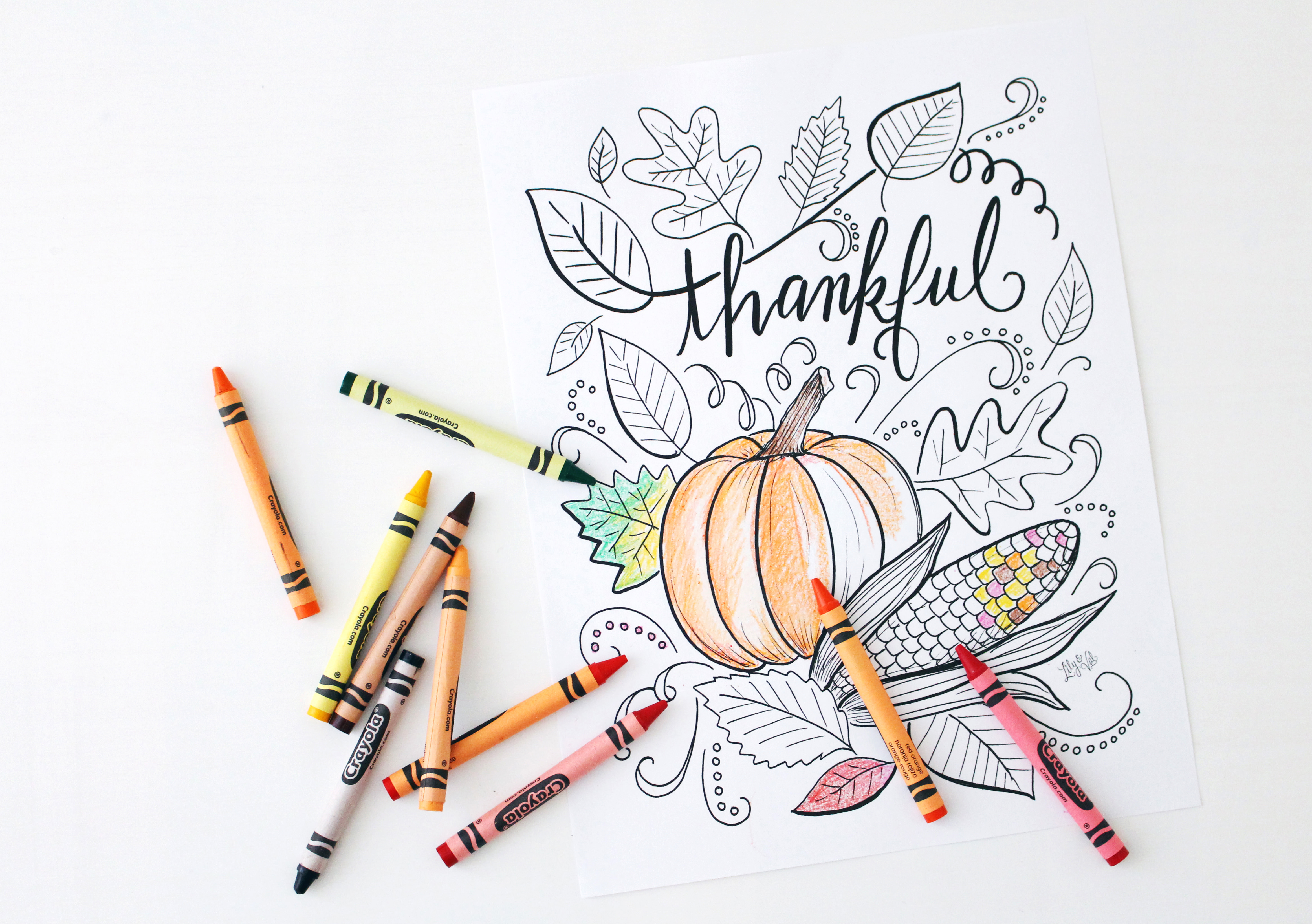Free Thanksgiving coloring page download - great for adults and kids alike!
