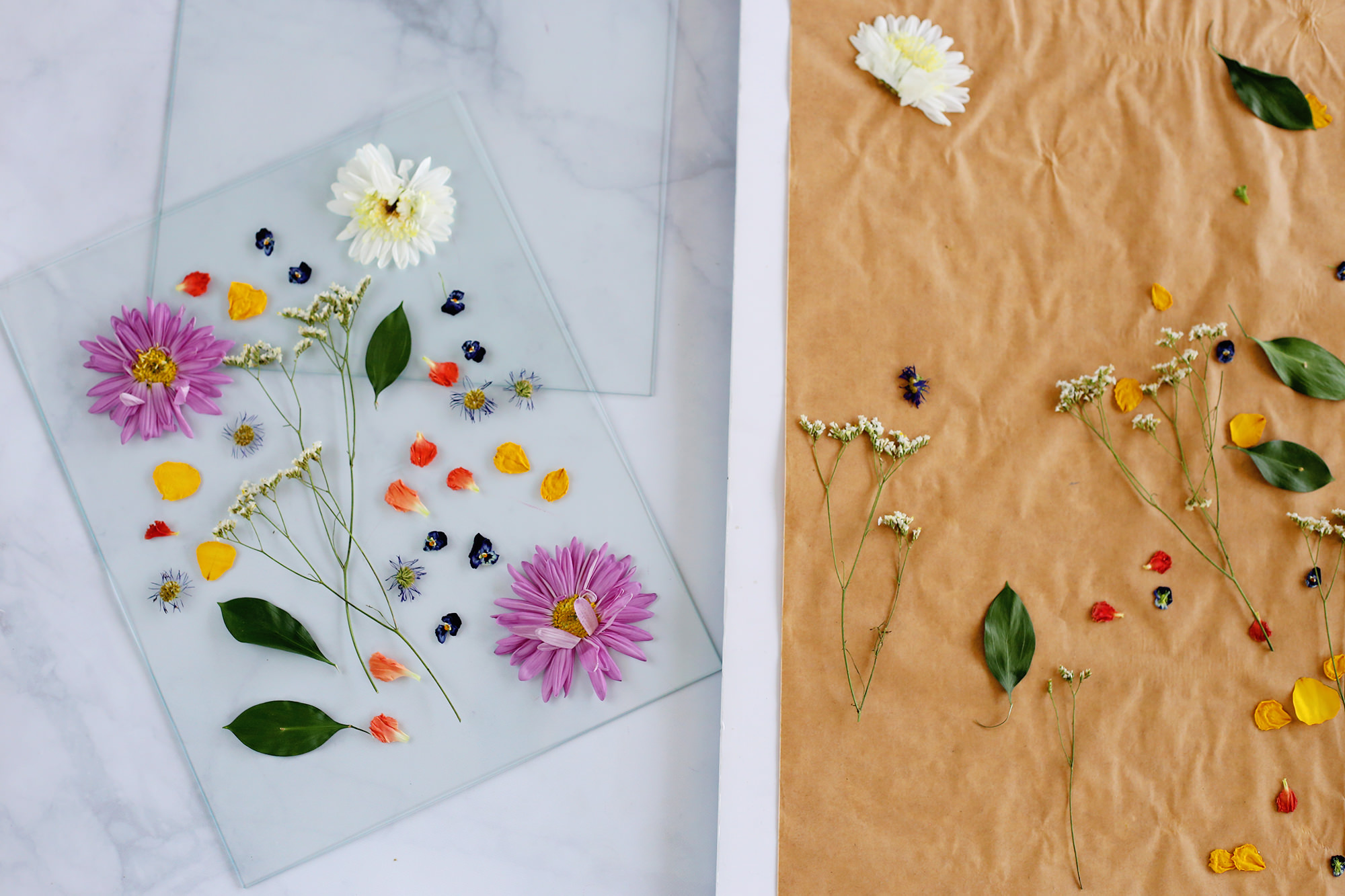 Pressed flowers stay rich in color and don't require any upkeep! Visit Lily & Val Blog to see how we displayed them!