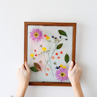 How-To: Pressing + Framing Flowers How-To: Pressing + Framing Flowers