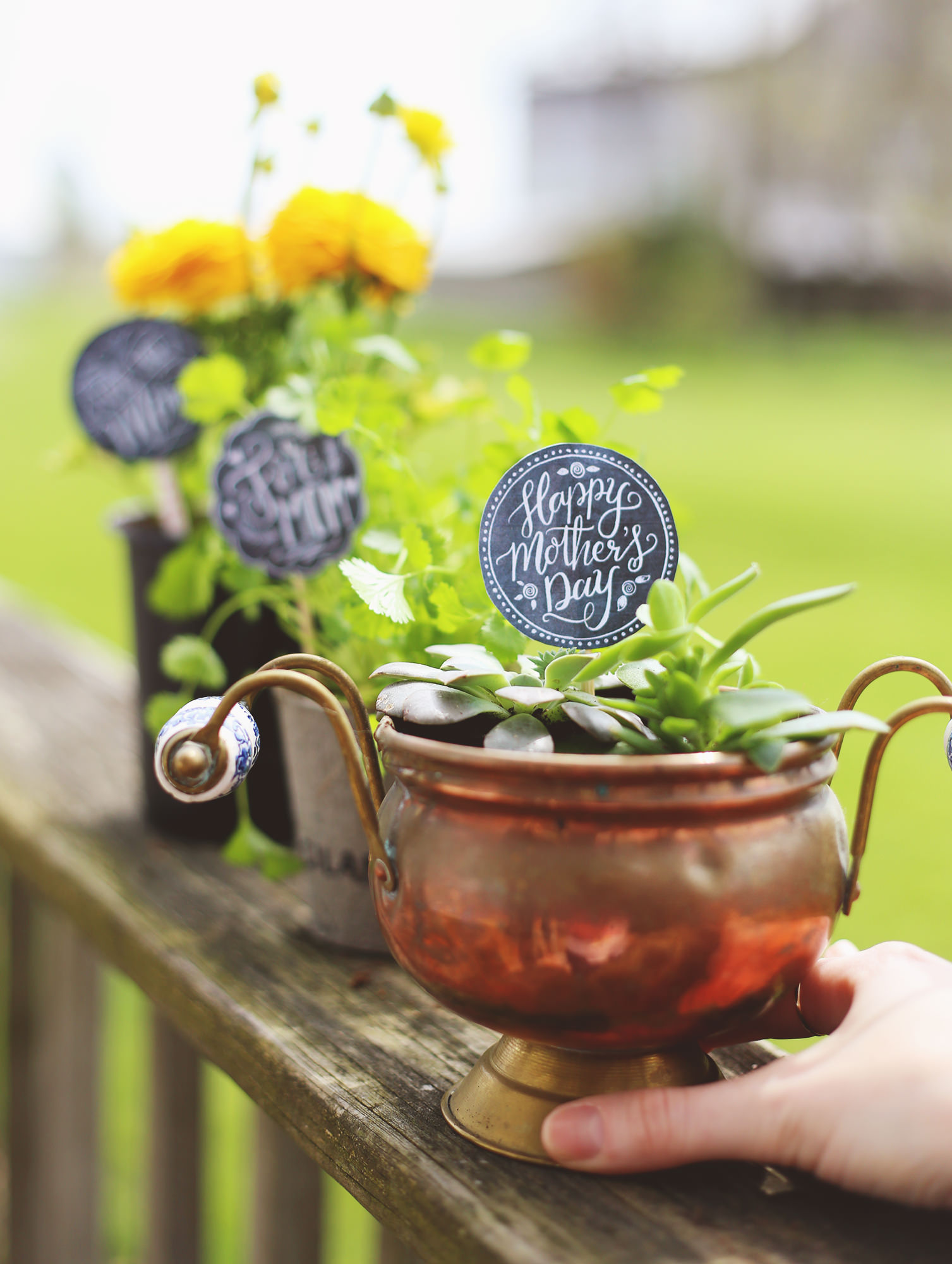 No need for wrapping or ribbons, just download our free, chalkboard Mother's Day gift tags and your plants will be gift-ready!