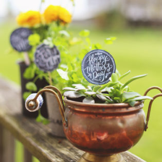 Mother’s Day Planter Gift – Free Download Mother’s Day Planter Gift – Free Download