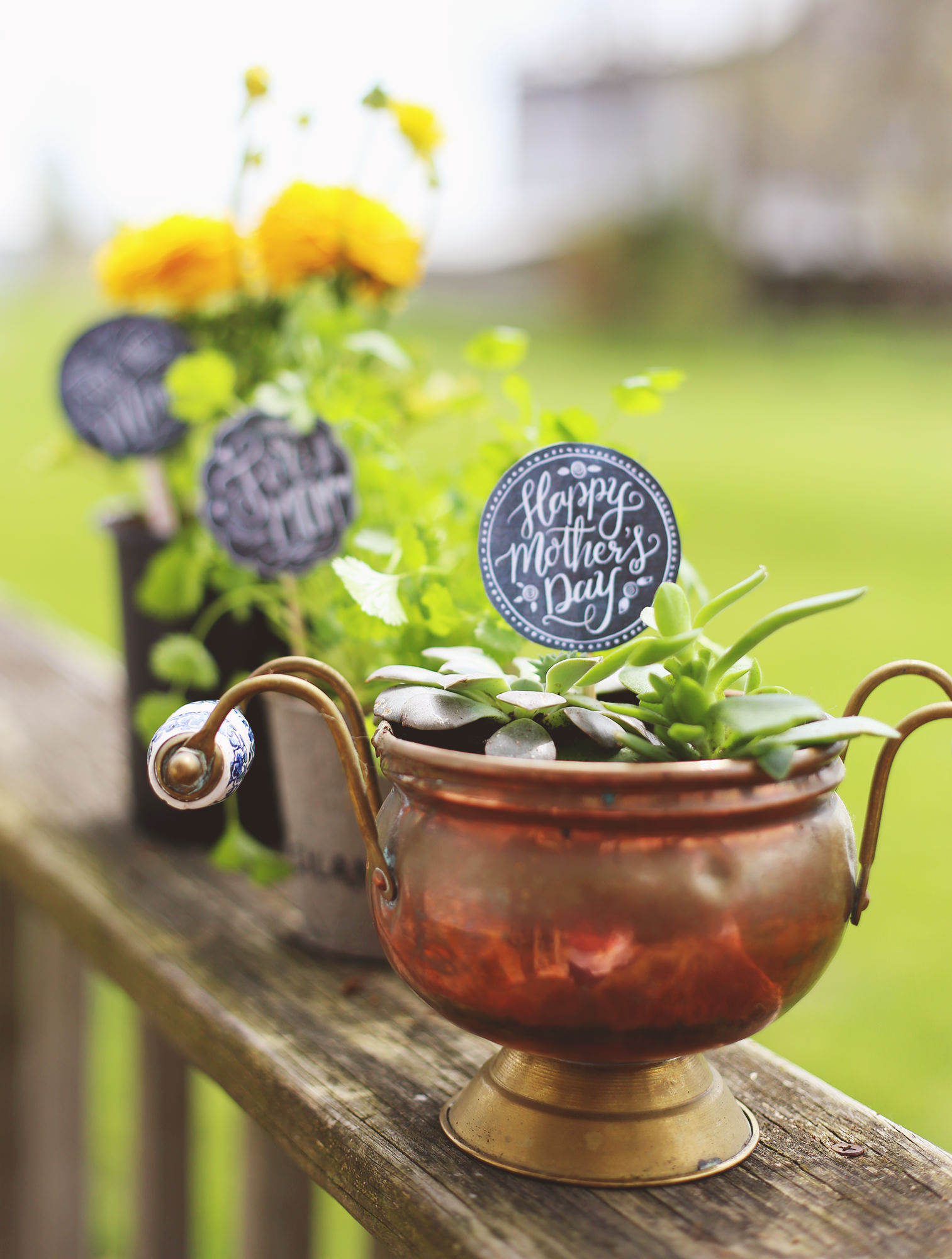 No need for wrapping or ribbons, just download our free, chalkboard Mother's Day gift tags and your plants will be gift-ready!