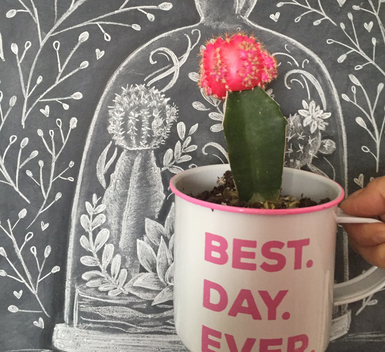 Cactus inspiration for the latest Lily & Val Terrarium print