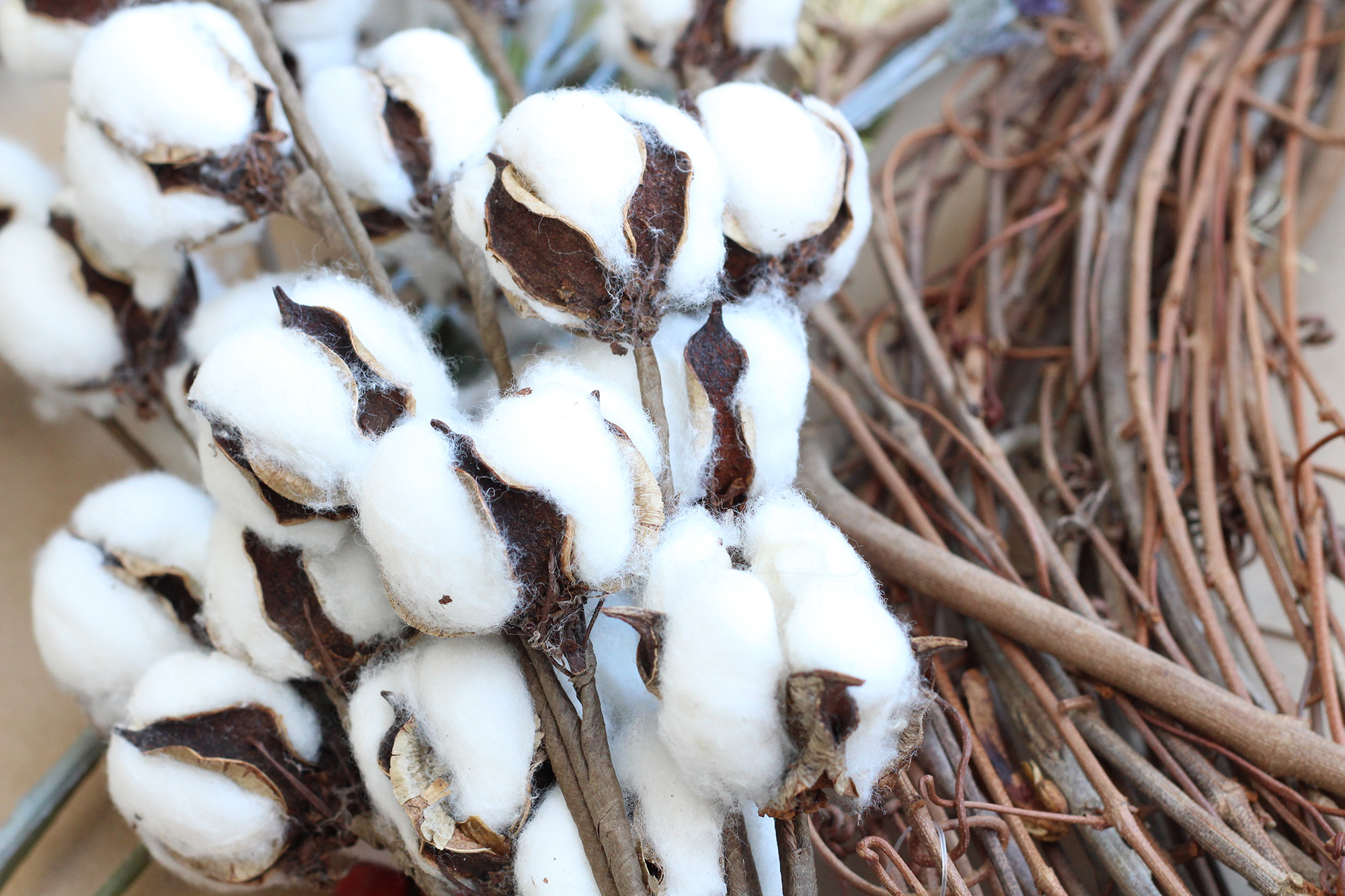 Decorating with raw cotton is fun and easy. On Lily & Val Living we are making a DIY Fall wreath using raw cotton bolls