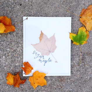 DIY Framed Metallic Leaf Wall Art DIY Framed Metallic Leaf Wall Art