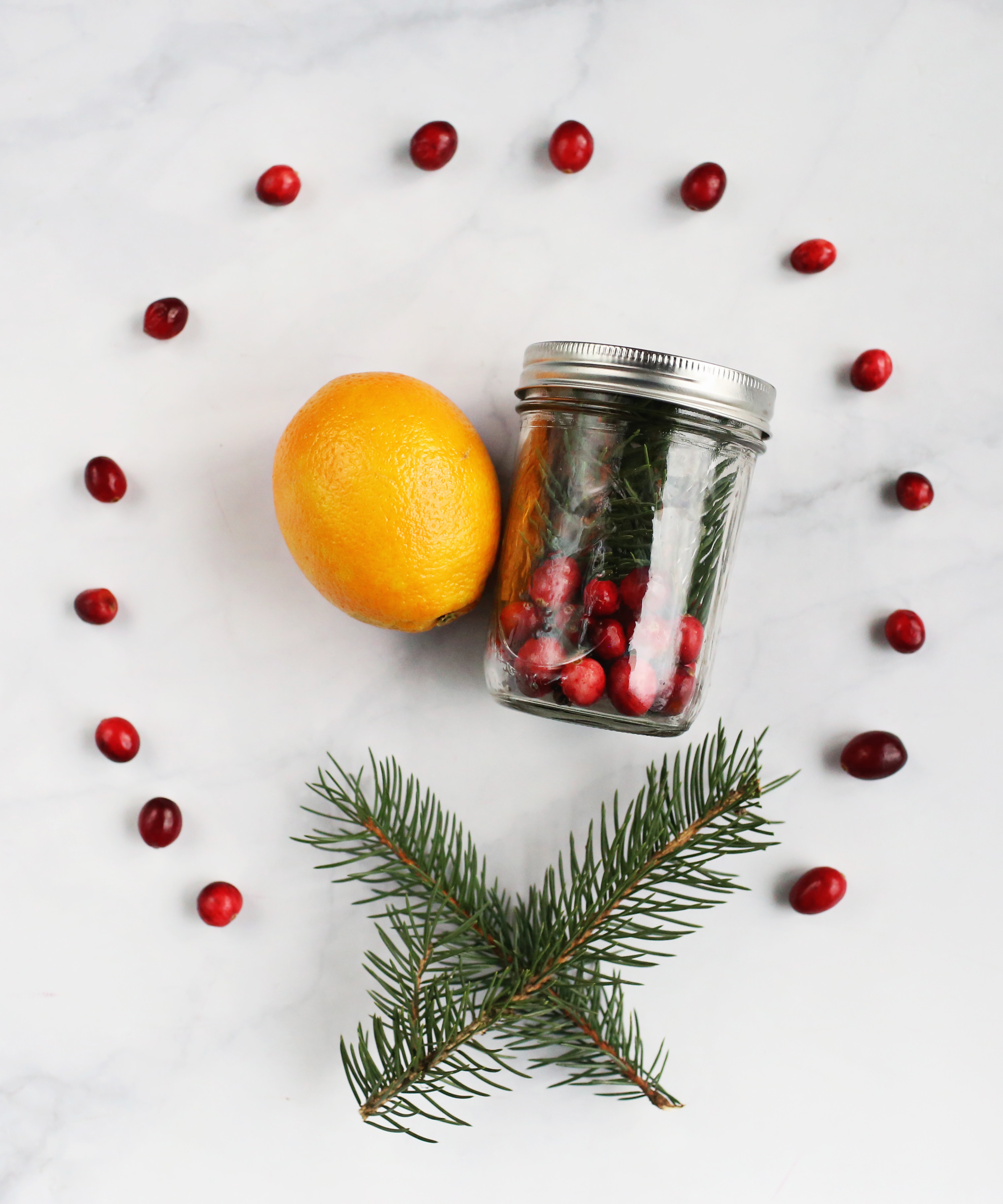 DIY Stove Top Potpourri is a great hostess gift during the holiday season! Lily & Val Living