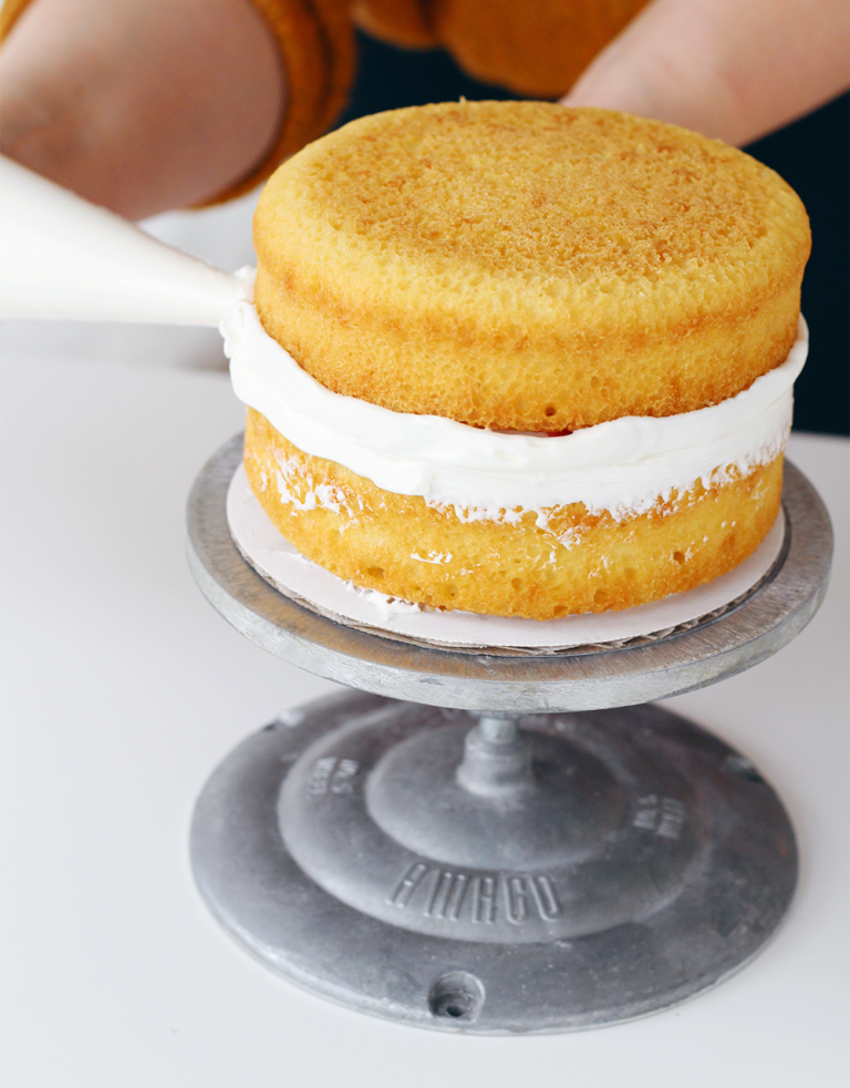 How To Ice A Cake Like A Pro Lily & Val Living
