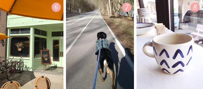 Lily and Val Living Pretty Ordinary blog present a scene from La La Land at Warner Brothers Studio tours, taking a dog for a walk in Pittsburgh's North Park, Pittsburgh's trendy restaurant Vandal in Lawrenceville has the best coffee cups