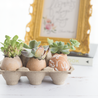 Make This Modern Easter Decor – with Eggs! Make This Modern Easter Decor – with Eggs!