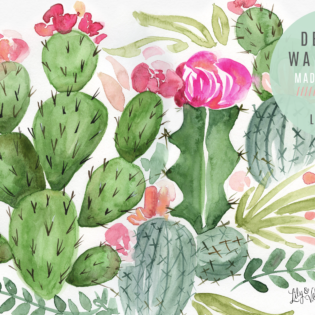 May’s Cactus FREE Wallpaper Download May’s Cactus FREE Wallpaper Download