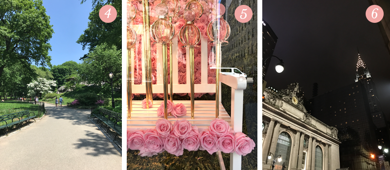 Lily & Val Presents: Pretty Ordinary Friday #53 - NYC Edition shares a view of Central Park, the roses at the Sak's Fifth Avenue window display, Grand Central Station at night