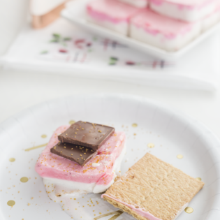 Make Your Own DIY S’mores Bar for Summer! Make Your Own DIY S’mores Bar for Summer!