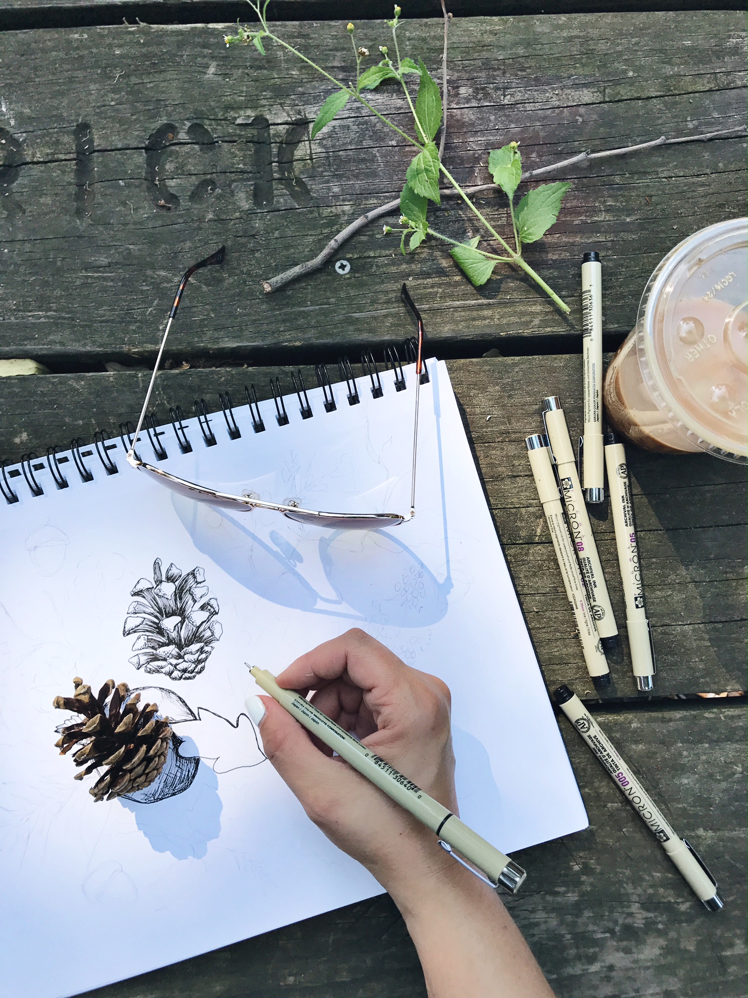 The Making of the Lily & Val Fall Collection - Pinecone botanical drawing