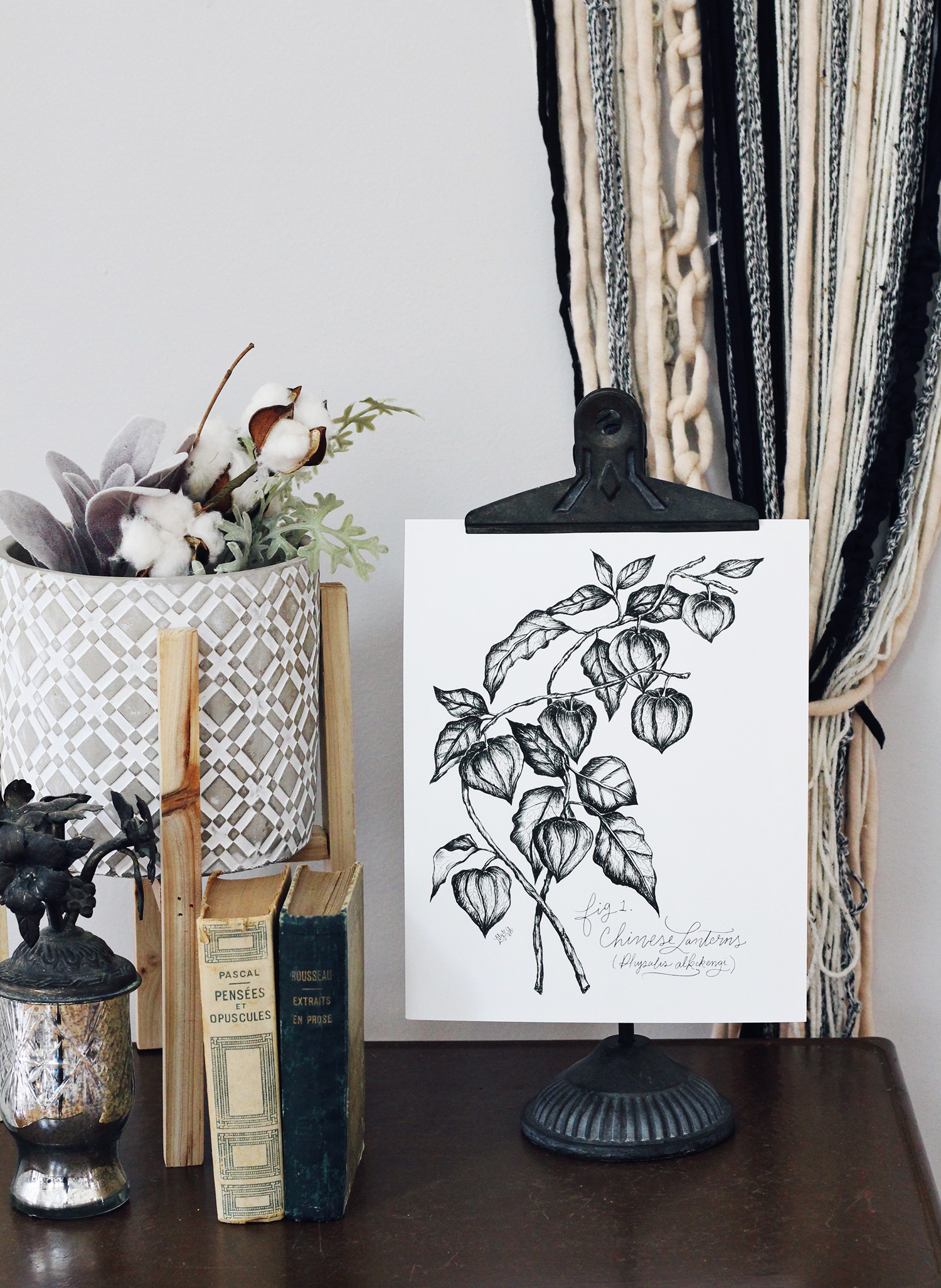 Chinese lantern black and white botanical illustration is a perfect neutral piece to add to your fall decorating