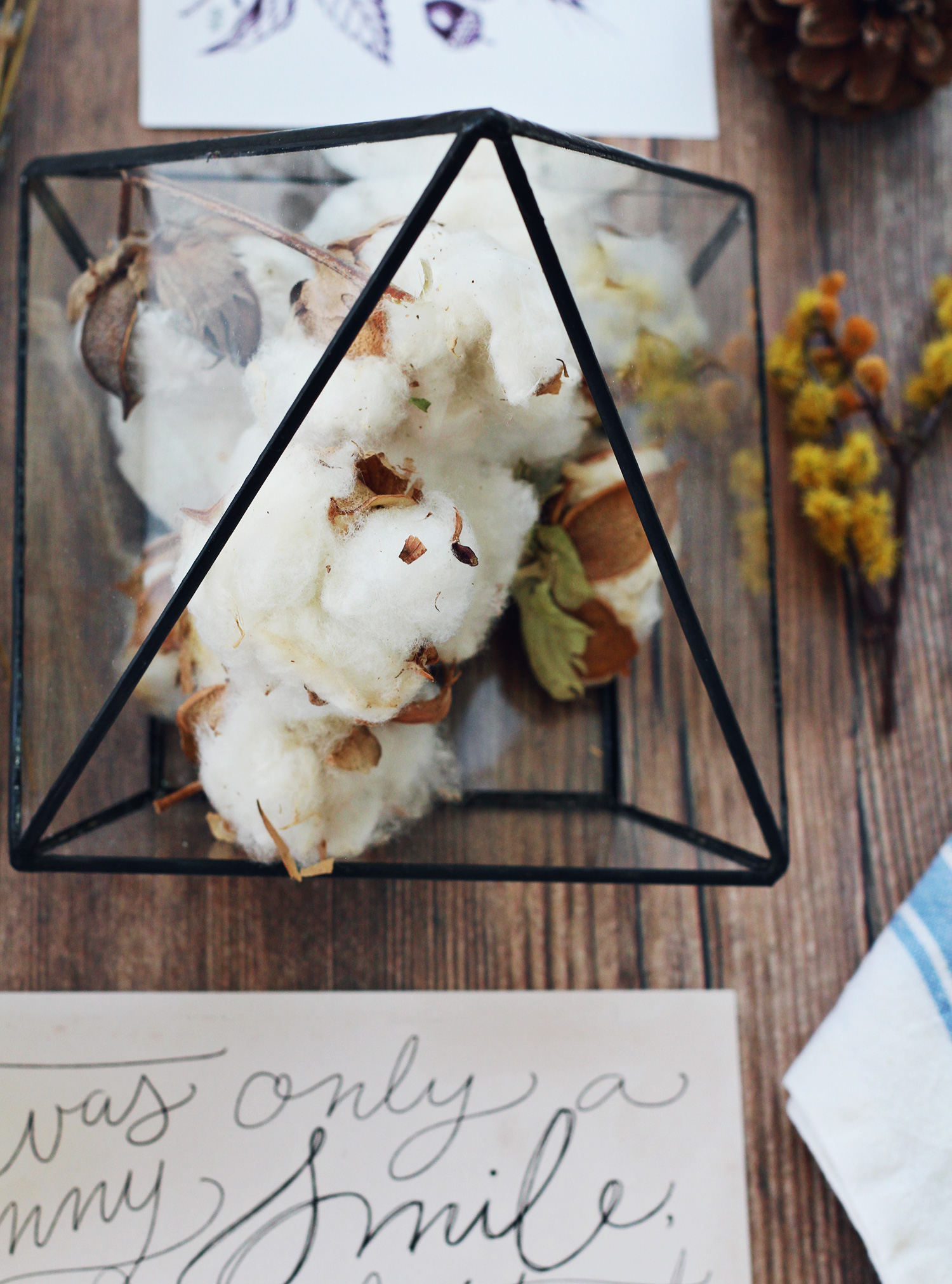 Raw cotton details in the Lily & Val Fall shoot | Easy decorating idea: Fill a terrarium with raw cotton!