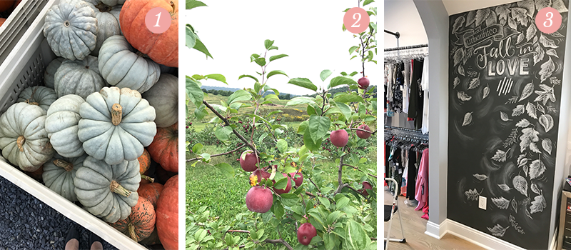 Lily & Val Presents: Pretty Ordinary Friday #69 with blue pumpkins, apple orchards and Urban Fit Co. chalk art wall