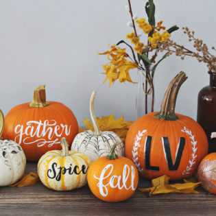 5 Creative Ideas for Painting Elegant Pumpkins 5 Creative Ideas for Painting Elegant Pumpkins