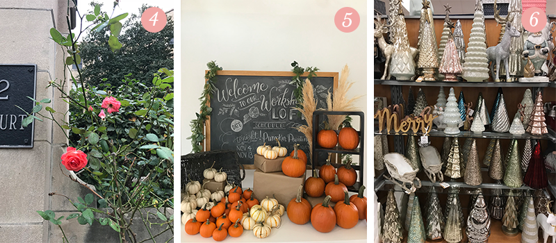 Lily & Val Presents: Pretty Ordinary Friday #74 with roses in the Fall, L&V pumpkin painting patch and Christmas trees at TJMaxx