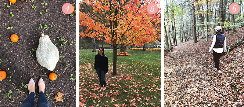 Lily & Val Presents: Pretty Ordinary Friday #75 with pumpkins and gourds, gorgeous Autumn trees and fall hikes through the woods in Bedford, PA