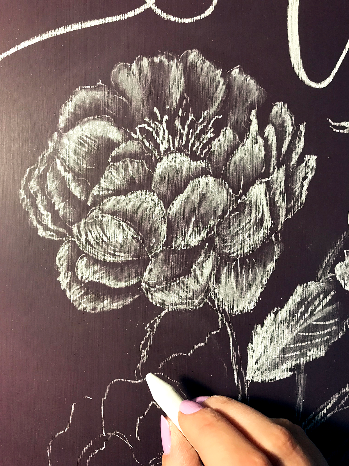 Lily & Val Introduces Colored Chalkboard as part of their Spring 2018 Flora Collection
