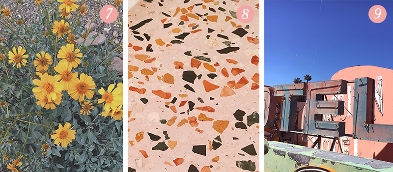 Lily & Val Presents: Pretty Ordinary Friday #92 with bright yellow cone flowers, terrazzo bathroom flooring and the Neon Boneyard in Las Vegas