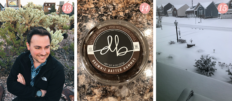 Lily & Val Presents: Pretty Ordinary Friday #92 with handsome husbands, Brownie Batter Hummus and snowy Spring days