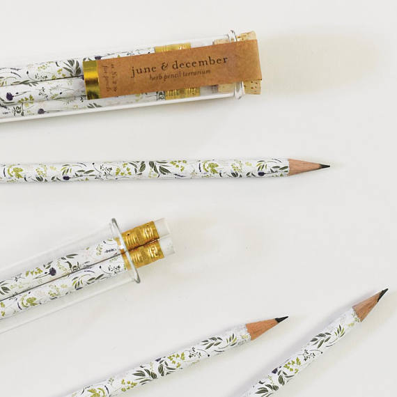 These Beautiful Pencils come in an adorable reusable test tube!