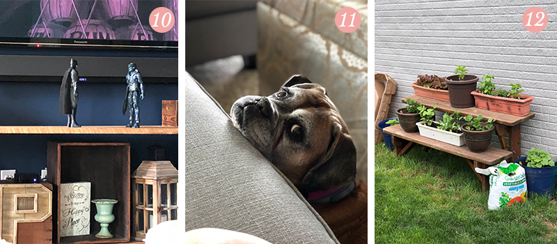 Lily & Val Presents: Pretty Ordinary Friday #93 with boy mom decor, loving boxer looks and potted gardens