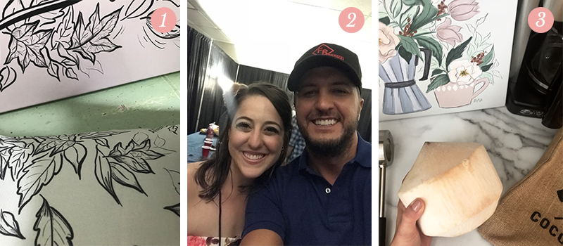 Lily & Val Presents: Pretty Ordinary Friday #95 with Fall launch sneak peeks, selfies with Luke Bryan and coconut water sipping
