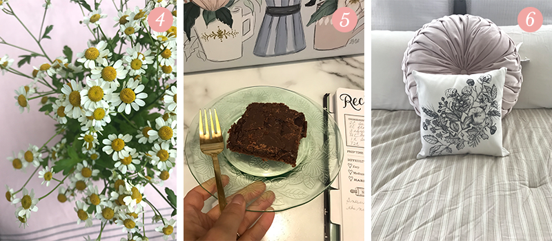 Lily & Val Presents: Pretty Ordinary Friday #96 with daisies from Trader Joe's, Texas Sheet Cake and Fall botanicals pillow