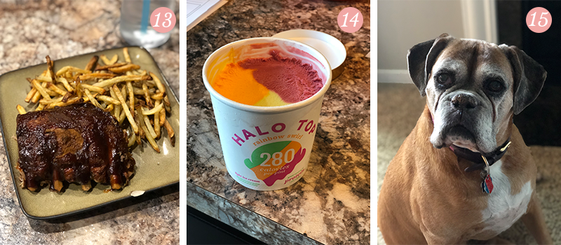 Lily & Val Presents: Pretty Ordinary Friday #99 with Instant Pot and Air Fryer love, Halo Top Rainbow Ice Cream and sweet Boxer faces