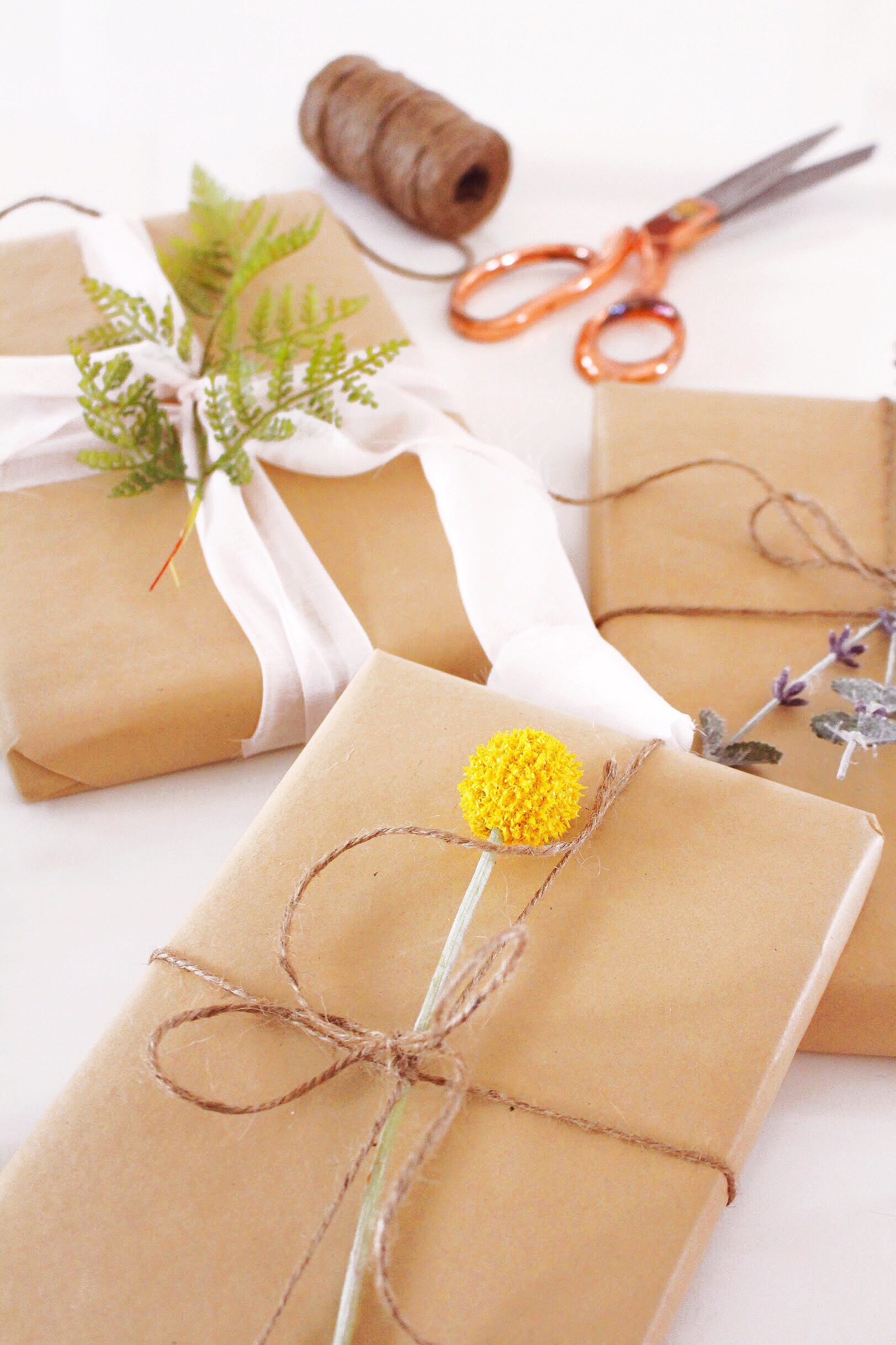 DIY Easy Spring Botanical Gift Wrap Idea