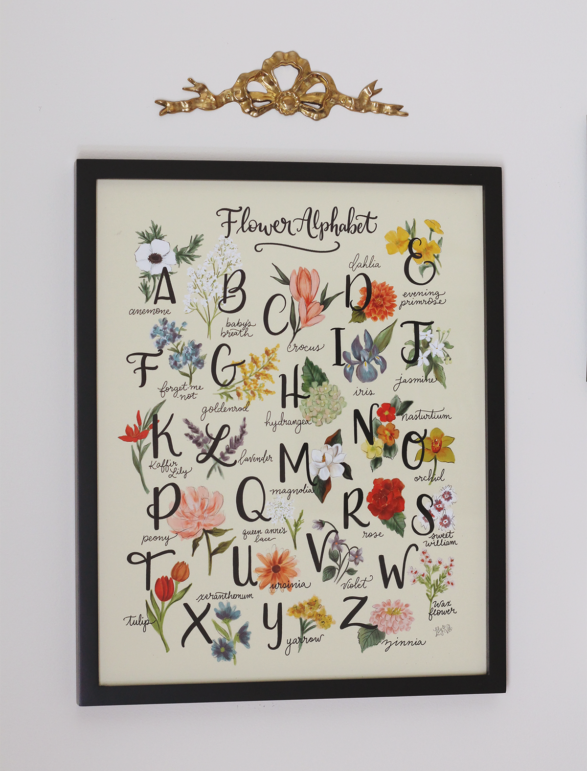 Flower Alphabet by Lily & Val