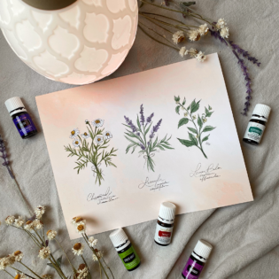 How I’m Starting My Essential Oil Journey How I’m Starting My Essential Oil Journey