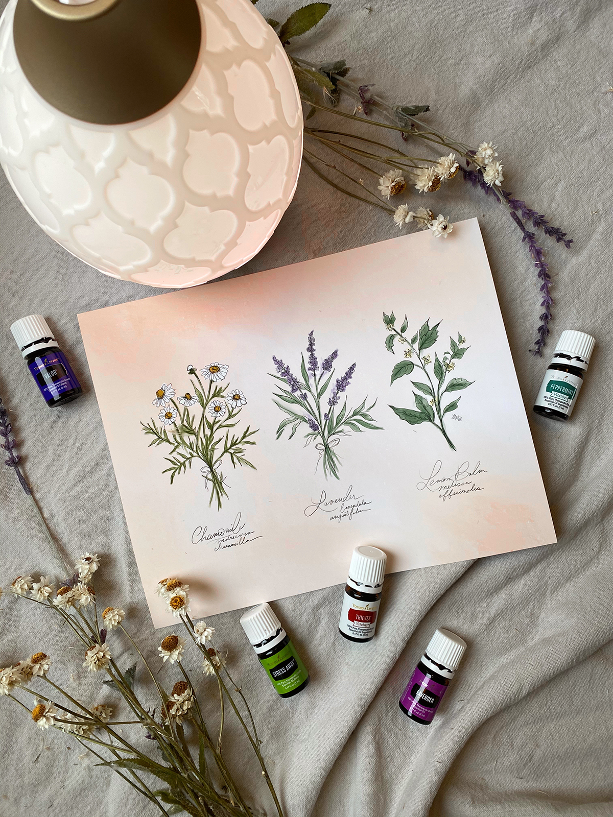 How I'm Starting My Essential Oil Journey - Lily & Val Living