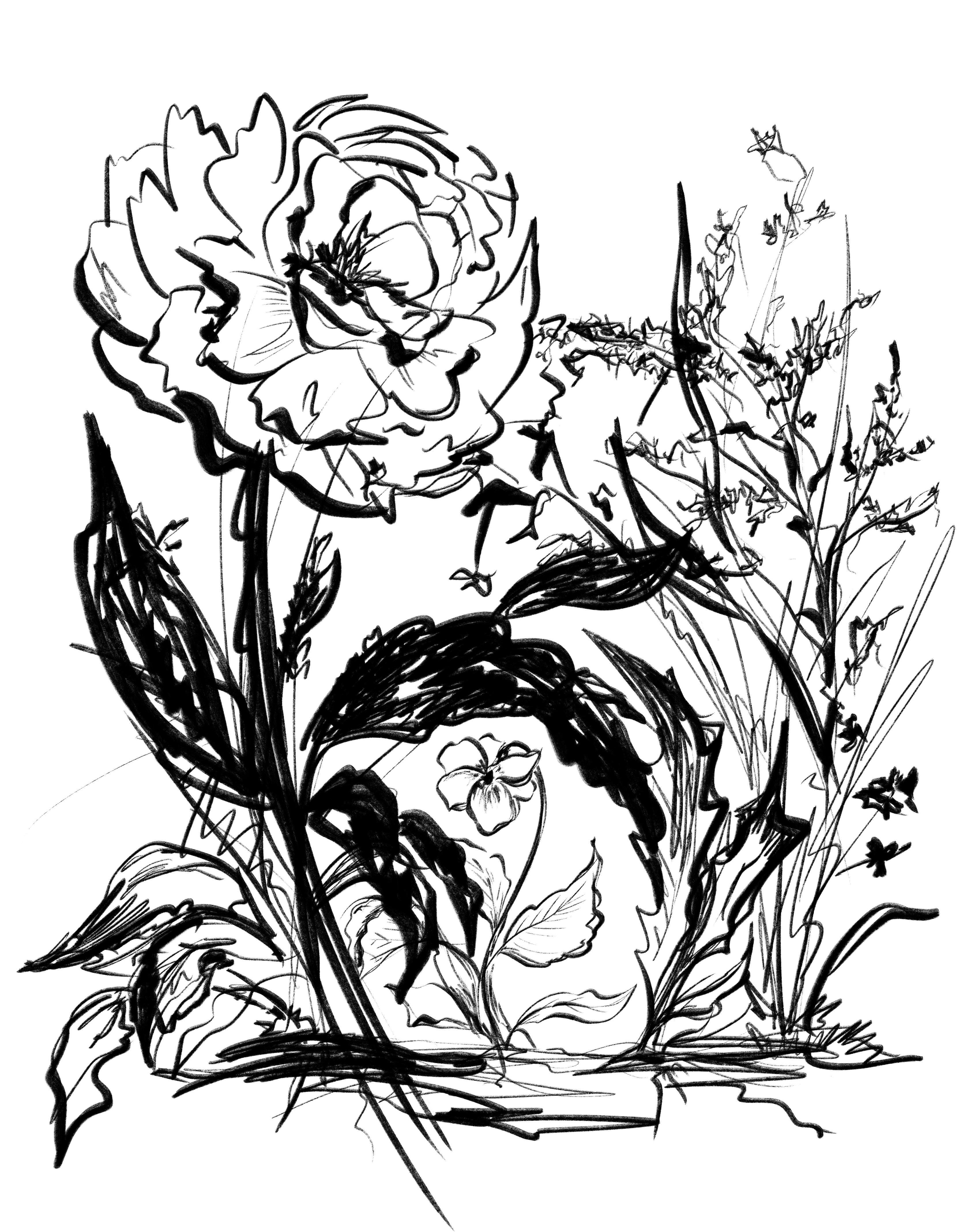 Lily & Val - A New Chapter, Pen & Ink Botanical by Valerie McKeehan