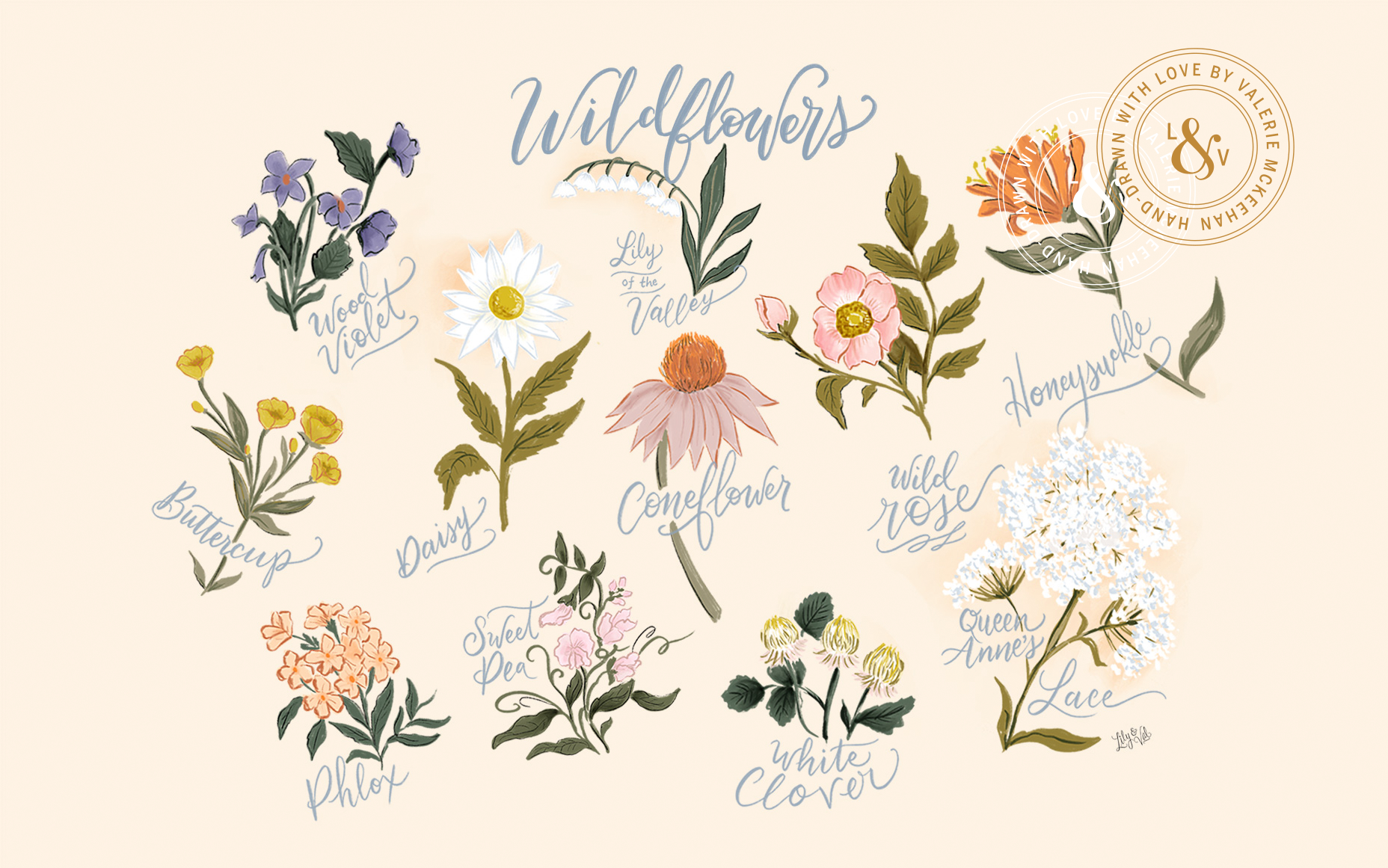 August hand-drawn floral desktop background from Lily & Val