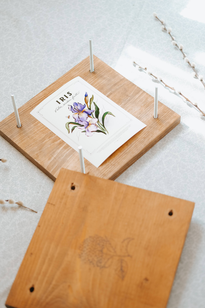 The Language of Flowers: Hand-drawn and illustrated Spring artwork for your Spring decor by Lily & Val.