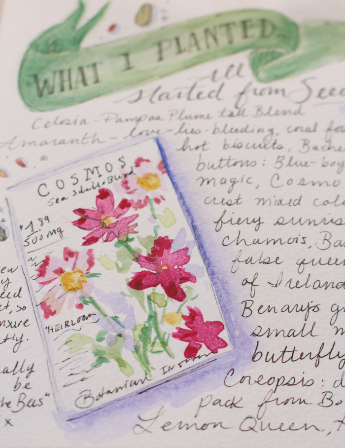 Garden Sketchbook Journal Mid Summer Update - Lily & Val Living