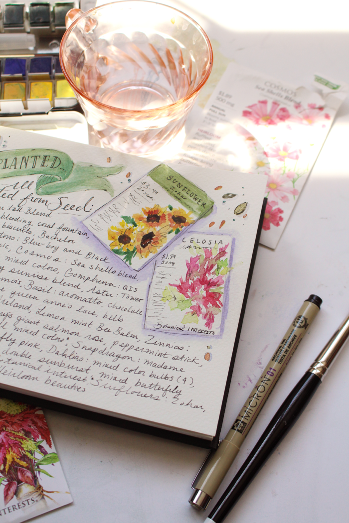 Valerie McKeehan's Garden Sketchbook & Journal + Resources