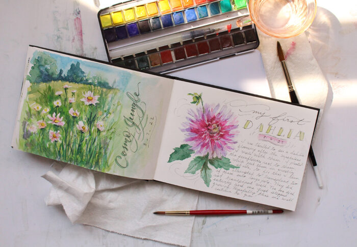 Garden Sketchbook Journal Mid Summer Update - Lily & Val Living