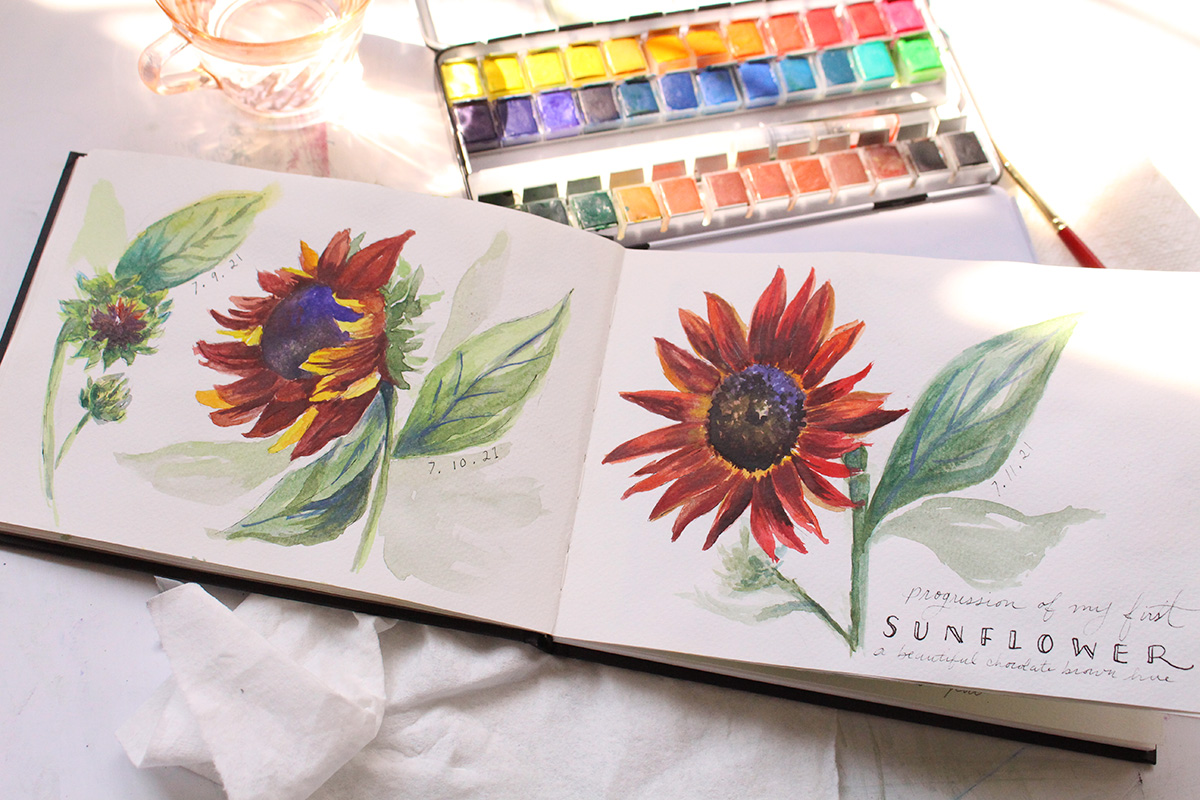 start garden journal nature sketchbook - Begin Your Artistic Journey: A Step-by-Step Guide to Starting Your Nature Sketchbook