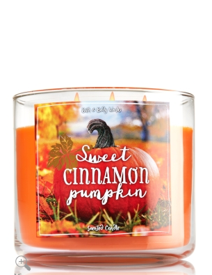 Sweet Cinnamon Pumpkin by Bath and Body Works made it to our top 5 best fall-scented candles! Lily & Val Living