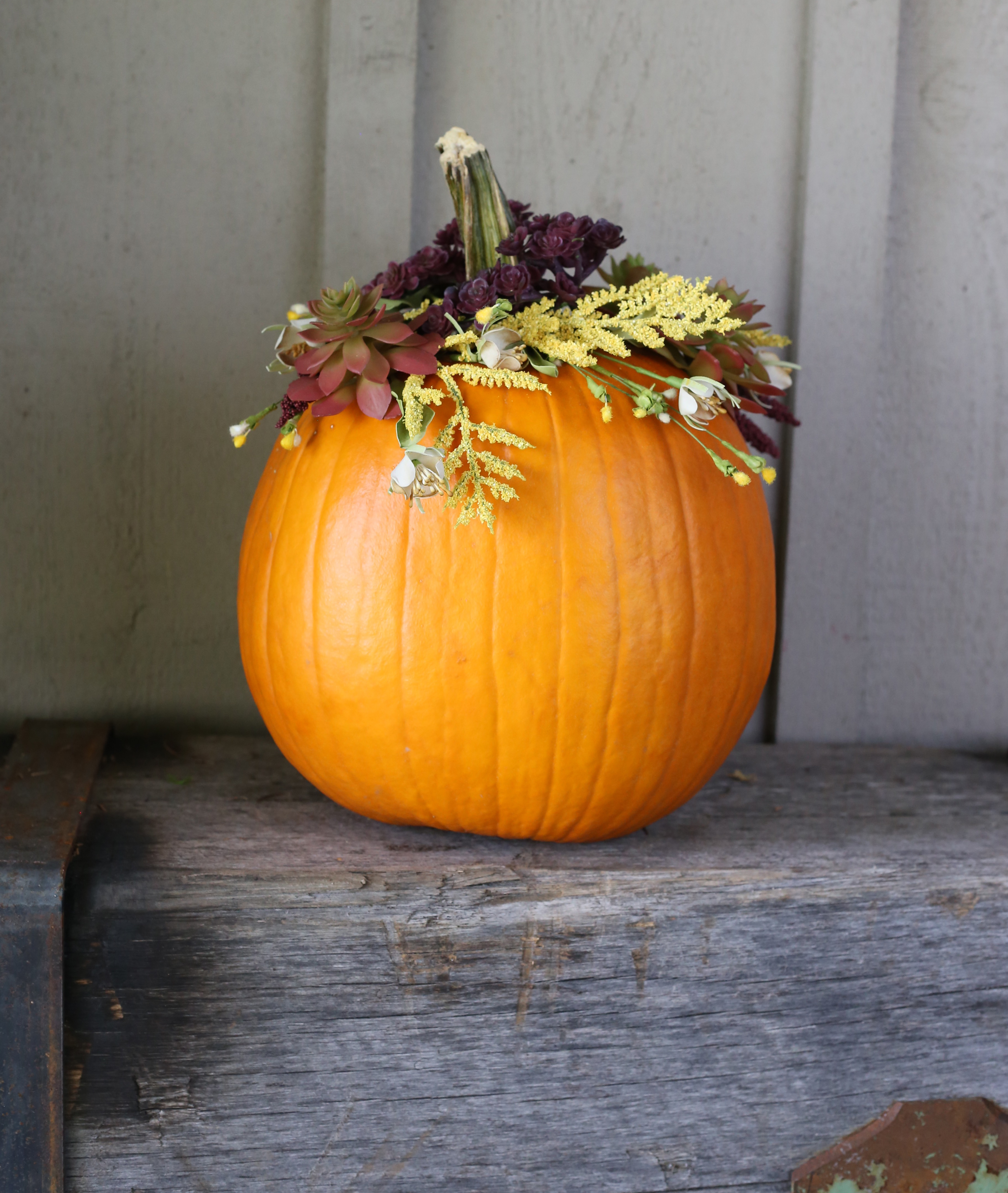 Fall floral pumpkin DIY project via Lily & Val Living!